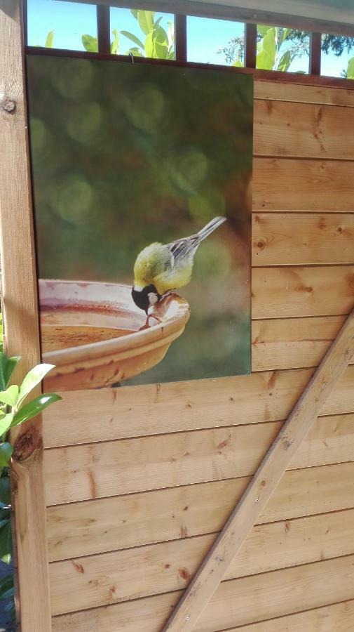 De Zes Wielen Alkmaar Exteriér fotografie